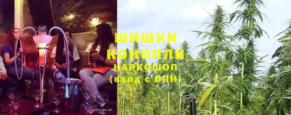 дурь Медвежьегорск
