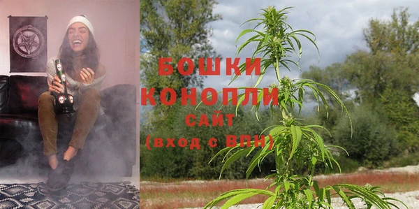 дурь Медвежьегорск