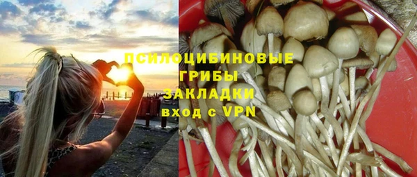 дурь Медвежьегорск