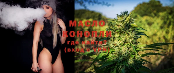 дмт Мегион